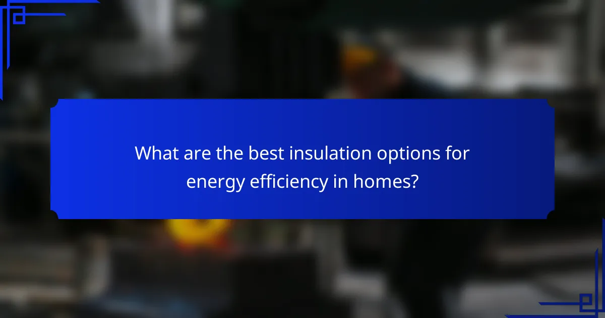 What are the best insulation options for energy efficiency in homes?