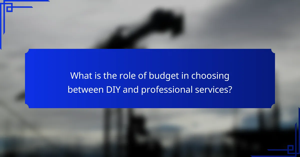 What is the role of budget in choosing between DIY and professional services?